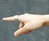 Ring - The Shortcut to Everything