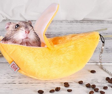 Banana Hamster Hammock Banana Hamster Hammock