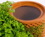 terraplanter Inside-Out Hydroponic Planter