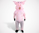 Inflatable Pig Costume