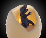 T-Rex Hatching Dinosaur Egg Candle