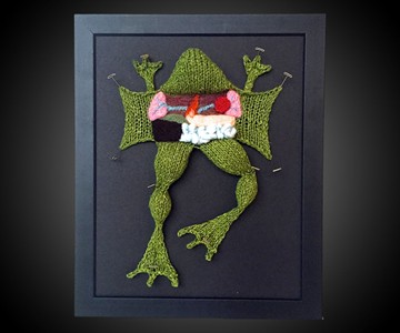 Knitted Dissections Knitted Dissections