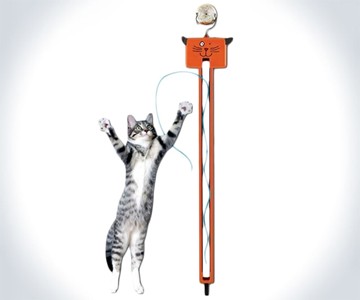 Moody Pet Fling-Ama-String Moody Pet Fling-Ama-String