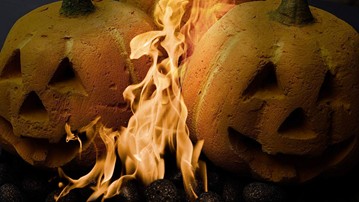 The Best Things for the Best Things About Fall The Best Things for the Best Things About Fall