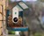 Bird Buddy Smart Bird Feeder with Built-In Camera
