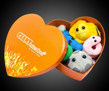 Giant Microbes Heart Burned Gift Box Giant Microbes Heart Burned Gift Box