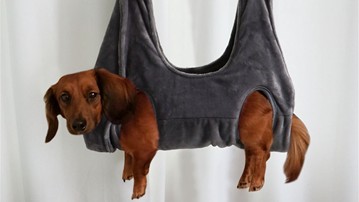 Dog Harness Hammock for Nail Trimming Dog Harness Hammock for Nail Trimming