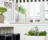 Glowpear Urban Garden Self-Watering Planters