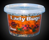 1,500 Live Ladybugs