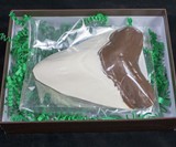 Chocolate Megalodon Shark Teeth