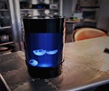 Pet Jellyfish Aquarium