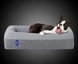 Casper Dog Mattress