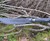 Estwing Machete with Saw-Back Blade