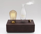 Edison Bulb Essential Oil Diffuser
