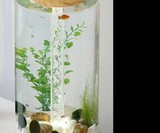 Norrom Freshwater Aquarium