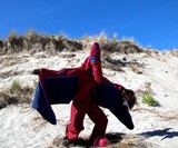 Miss Nessa Monster Suits