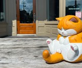 Crotch Staring Cat with Swappable Crotch Parts
