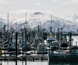 Sitka Salmon Shares Subscription Seafood Collective