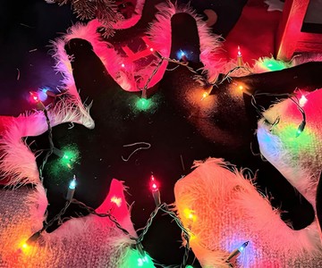 Christmas Vacation Light Up Fried Cat Rug