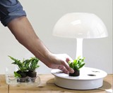 Ambienta Living Table Lamp