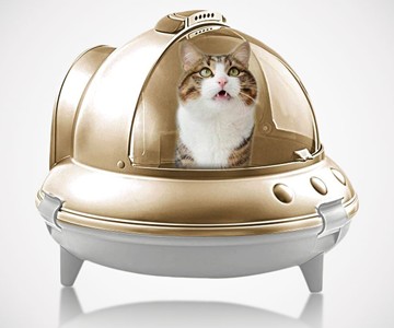 16 Meow-ty Fine Cat Gifts for 2023