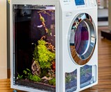 Washing Machine Aquarium