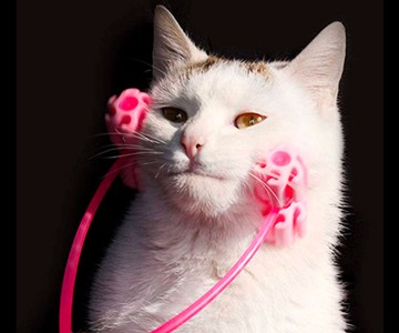 Cat Face Massager Cat Face Massager