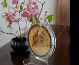 Termitat Termite Desktop Display