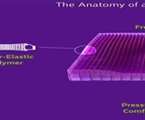 The Royal Purple No-Pressure Seat Cushion