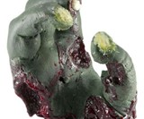 Severed Zombie Hand Phone Mount