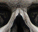 The Skull Chair