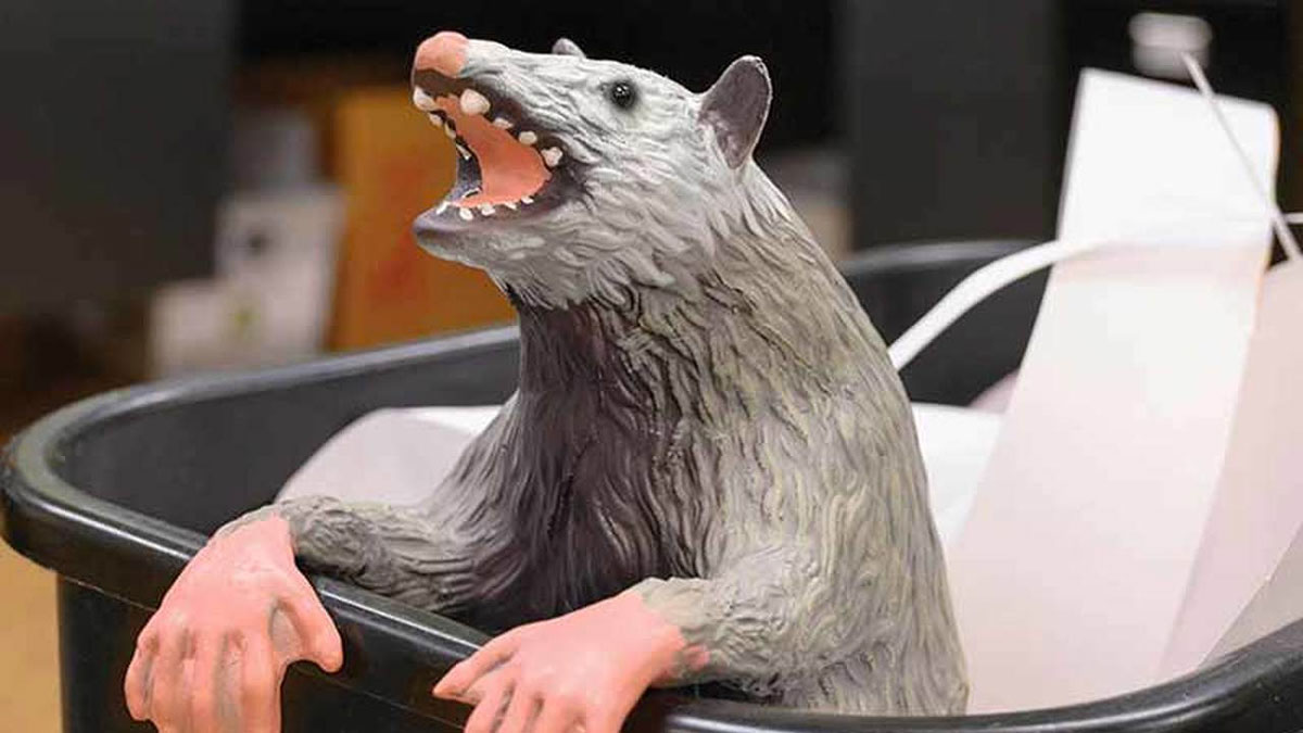 Office Possum