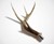 Deer Antler Beer Tap Handle