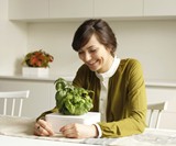 Click & Grow SmartPot Plants - Basil