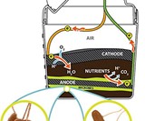 MudWatt STEM Kit - Grow Your Own Living Fuel Cell