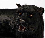 Panther Sofa by Rodolfo Rocchetti - Closeup