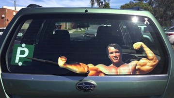 Flexing Arnold Rear Window Wiper Decal Flexing Arnold Rear Window Wiper Decal