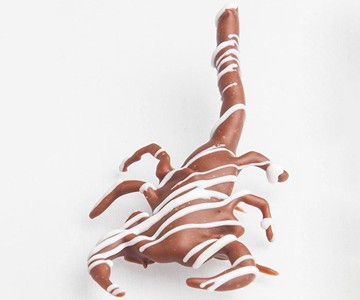 Chocolate Covered Scorpion Chocolate Covered Scorpion