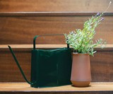 Modern Sprout Watering Can