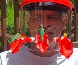 HummViewer Wearable Hummingbird Feeder