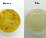 PhoneSoap - Before & After