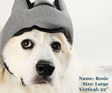 Pawnix Noise-Cancelling Headset for Dogs