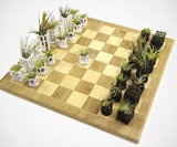 Air Plant Living Chess Set