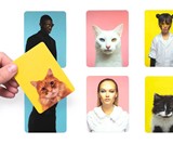 Do You Look Like Your Cat? Memory Game