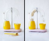 Popcorn Monsoon