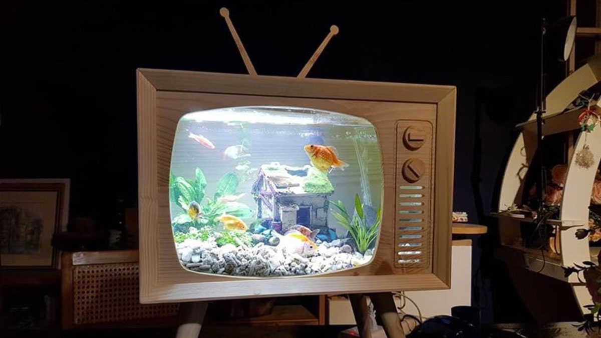 Wooden TV Aquarium Wooden TV Aquarium