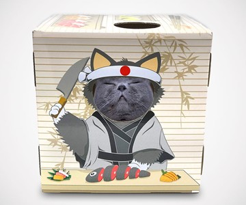 DoyenCat Sushi Chef FunBox with Scratching Board