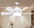 Socket Fanlight