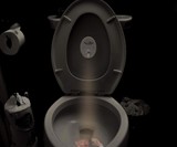 Pee-Litical Targets