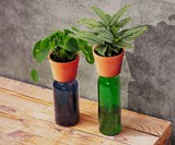 Self-Watering Bottle Planter